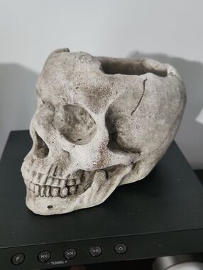 Skull Planter .Concrete